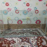 آکواریوم فروشی|ماهی|سیرجان, |دیوار