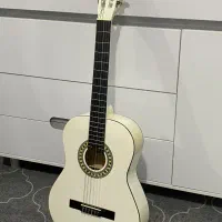 گیتار stagg بلژیک