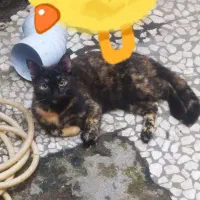 دنبال خانواده مهربون برای واگذاری