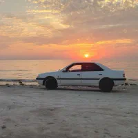 سواری دربستی درون شهری و حومه کنگان