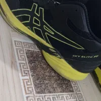 کفش|کیف، کفش، کمربند|هرمز, |دیوار