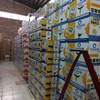 دستگاه جوجه کشی 96 تایی  ایزی باتور 2