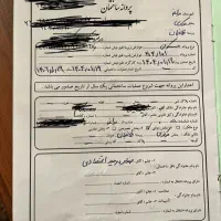 فروش یک قطعه زمین دو کله پروانه دار در طالبخان|فروش زمین و ملک کلنگی|مراغه, |دیوار