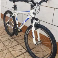 دوچرخه ویوا اصل تایوان