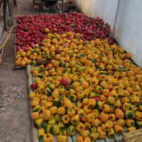 استخدام نیروی آقا کارگر ساده ترجیحا اتباع با مجوز|استخدام صنعتی، فنی، مهندسی|گلپایگان, |دیوار