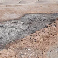 زمین کشاورزی..قیمت توافقی|فروش زمین و ملک کلنگی|سیوان, |دیوار