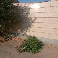 فروش خانه ویلایی ۲۲۰ متری ۳ خوابه در کوشک|فروش خانه و ویلا|مرودشت, کوشک|دیوار