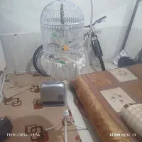 قفس پایه دار