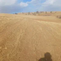 اجاره‌زمین