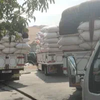 فروش کاه ریز وتمیز درجی یک|عمده‌فروشی|اردکان, |دیوار