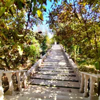 قصر رویایی در دل طبیعت/ 500 متر باغ ویلا/ لوکس|فروش خانه و ویلا|محمدشهر, محمدشهر|دیوار