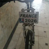 دوچرخه معاوزه با گوشی و پرنده