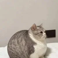 دروس رشته علوم تربیتی