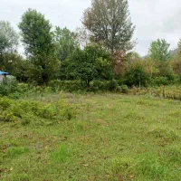 فروش زمین مسکونی با پروانه ساخت|فروش زمین و ملک کلنگی|شاندرمن, |دیوار