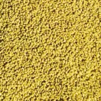 بذر یونجه درجه یک و قدبلند