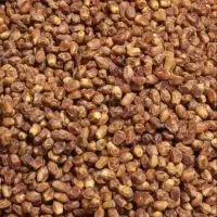 خرما زاهدی اِمسالی.تازه. تازه.|خوردنی و آشامیدنی|مشهد, رسالت|دیوار