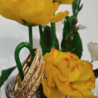 النگو