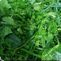 سبزی پاک کرده قرمه