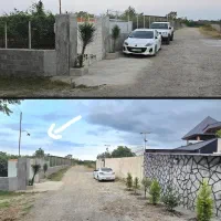 شیرود فروش کیوی چند تن رو درخت|عمدهفروشی|شیرود, |دیوار