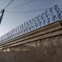 حفاظ مدل سه گل خورشیدی