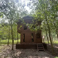 امروز ویلا نخری،فردا گرون تره|فروش خانه و ویلا|شال, |دیوار