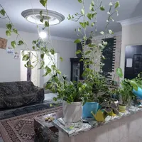 71متر،2خواب/ سرمایه گذاری/ بلوار قیام|فروش آپارتمان|تهران, قیام|دیوار