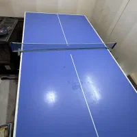 میرز پینگ پنگ تمیز با دسته