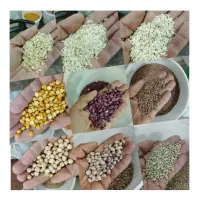 برنج نو کامفیروزی به شرط|خوردنی و آشامیدنی|شیراز, تندگویان|دیوار