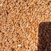 لوبیا چیتی درجه یک قیمت مناسب|خوردنی و آشامیدنی|استهبان, |دیوار