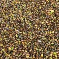 انواع عرقیات میمند مغز بنه بخورک زردالو عمده|عمده‌فروشی|شیراز, گلشن|دیوار