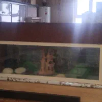 اکواریوم ماهی