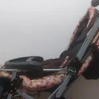 کالسکه و دوچرخه