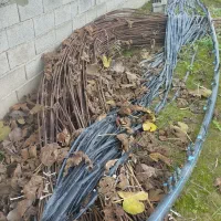 میلگرد 10 اجدار برای توت فرنگی 5.30 متری