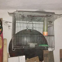 قفس پرنده