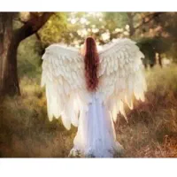 تک نیت با فال با تخفیف ویژه