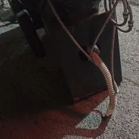 سرشور ارایشگاه|آرایشگاه و سالنهای زیبایی|لیکک, |دیوار