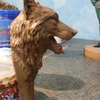 مجسمه های دکوری|مجسمه، تندیس، ماکت|تبریز, |دیوار