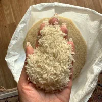 برنج فجر سوزنی