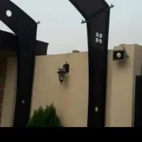 پله گرد در نرده