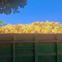 اجر دستی گری فشاری با قیمت استثنایی تک خاور نیسان