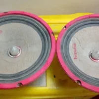 ضبط و لوازم جانبی پراید و پژو|قطعات یدکی و لوازم جانبی|مشهد, هنرور|دیوار