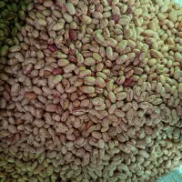 لوبیا چیتی و برنج لاشه ایرانی شمال