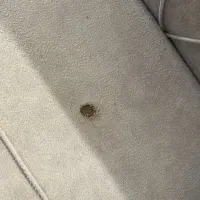 مبلمان ۷ نفره