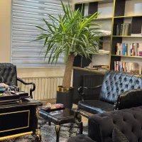 استخدام نیرو