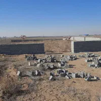 زمین-کشاورزی-پسته-در-نجم-آباد-نظرآباد