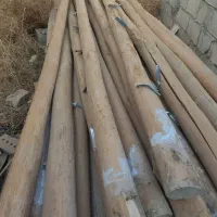 خرید فروش چوب|خدمات باغبانی و درختکاری|خرم‌آباد, |دیوار