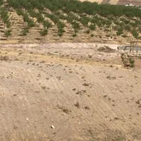 زمین ۱۰۰۰متری شهرک پاسارگاد(جاده امامزاده اباذر)|فروش زمین و ملک کلنگی|قزوین, |دیوار