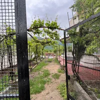 اجاره روزانه/هفتگی/ماهانه ویلا ۱۰۰۰ متری