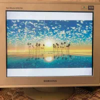 مانیتور سامسونگ