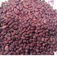 لوبیا قرمز خمین